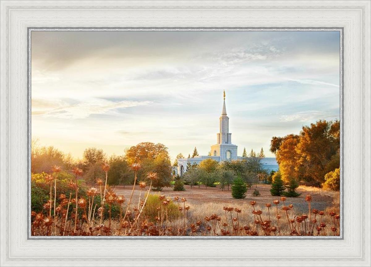 Sacramento 07