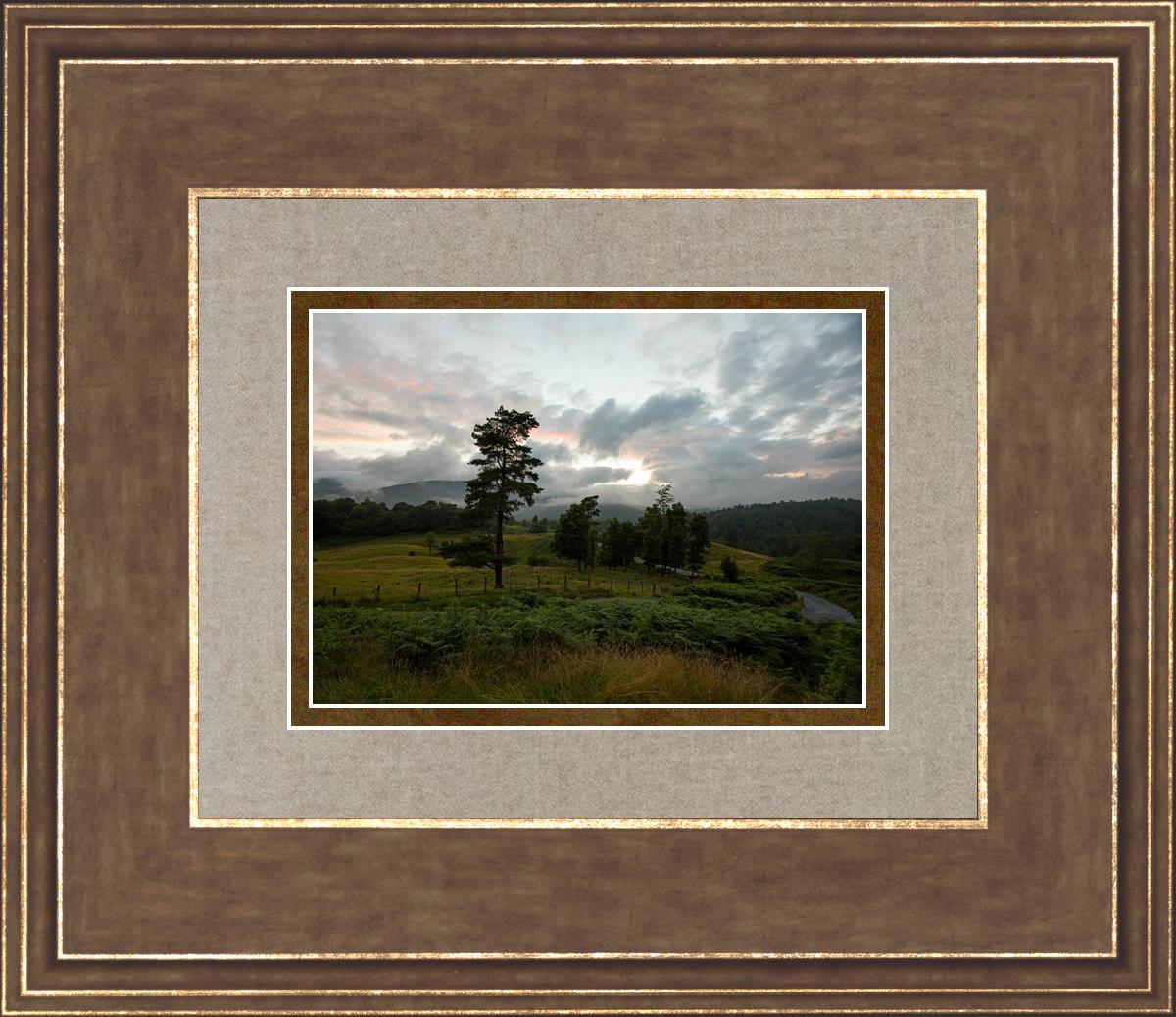 Plate 3 - Tarn Hows Above Ambleside