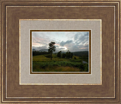 Plate 3 - Tarn Hows Above Ambleside