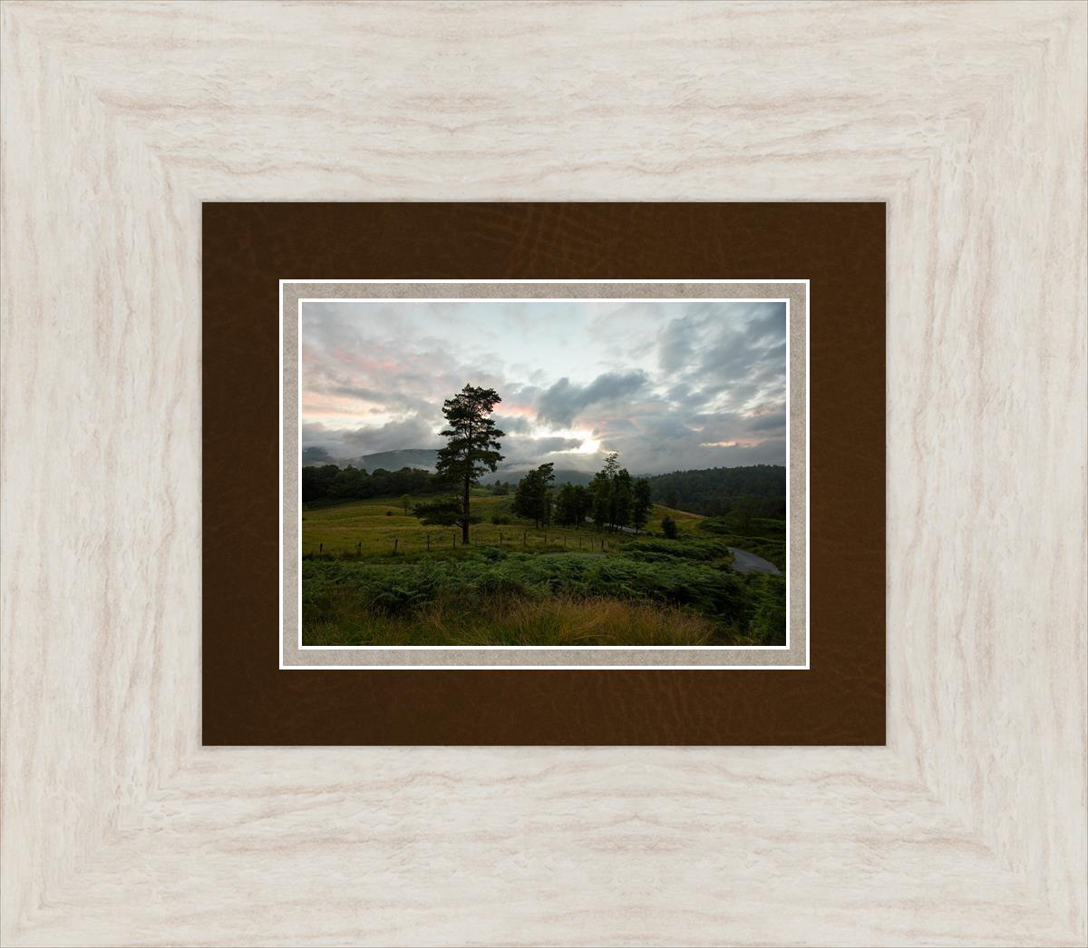 Plate 3 - Tarn Hows Above Ambleside