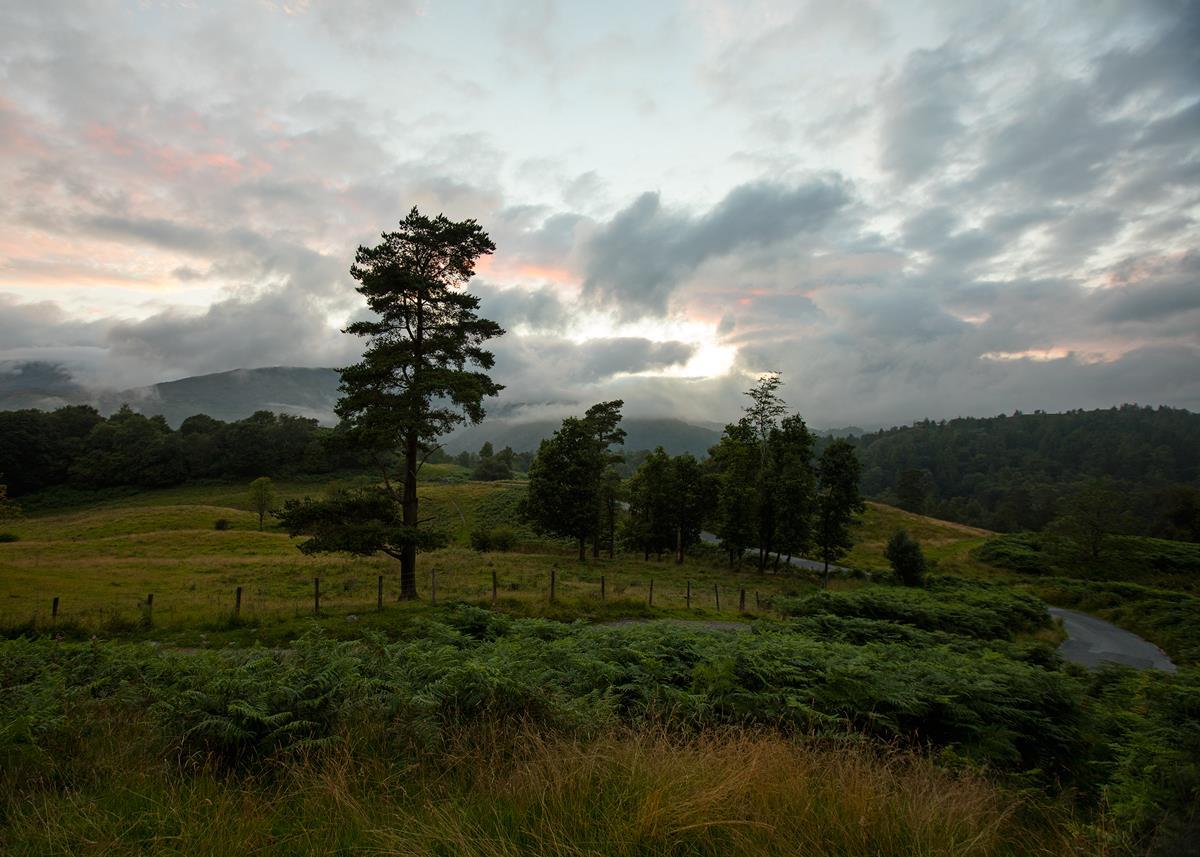 Plate 3 - Tarn Hows Above Ambleside