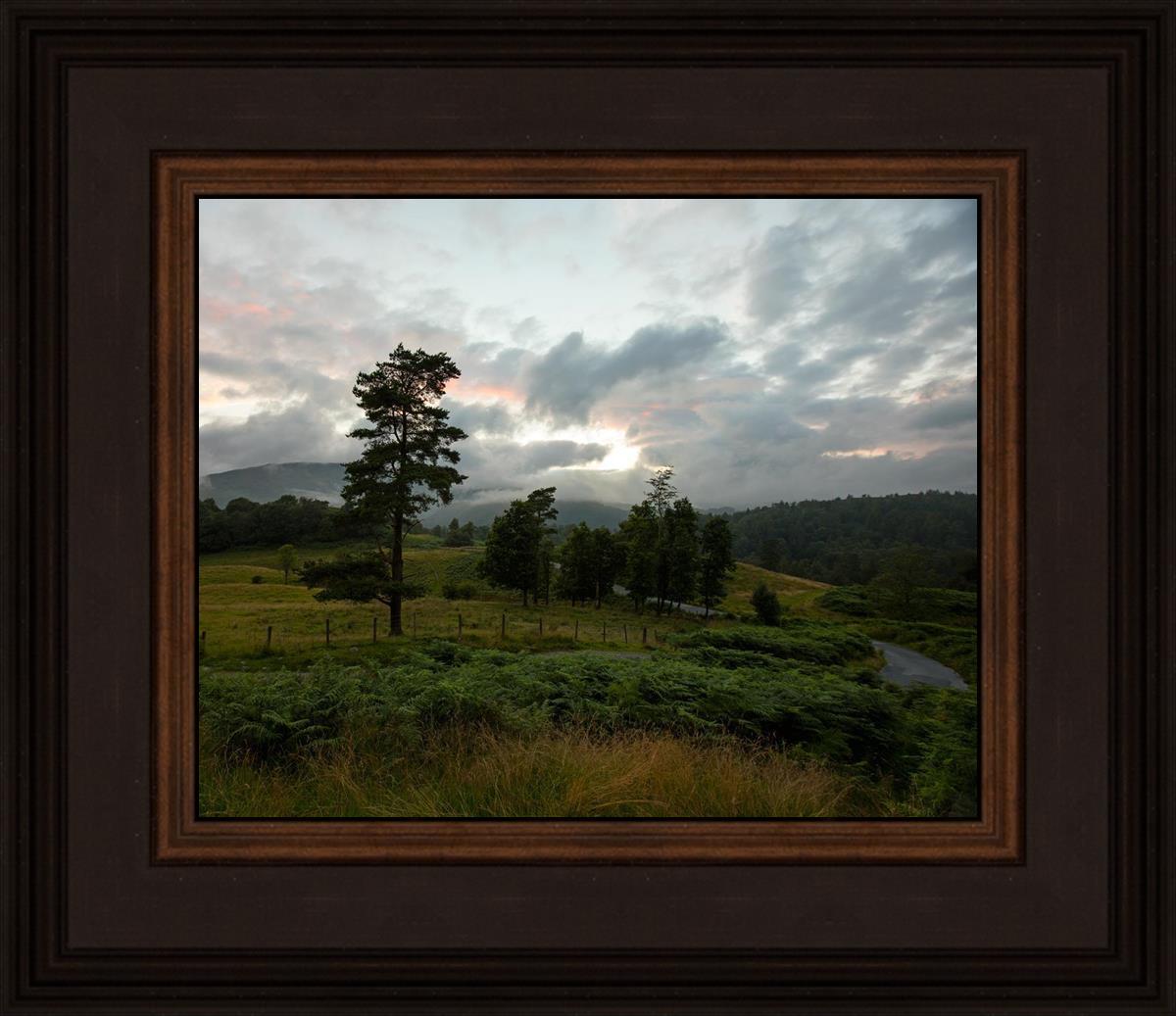 Plate 3 - Tarn Hows Above Ambleside