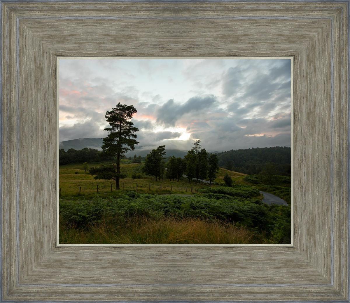 Plate 3 - Tarn Hows Above Ambleside