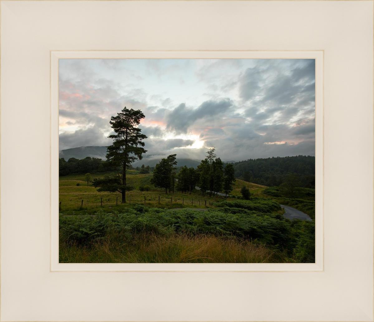 Plate 3 - Tarn Hows Above Ambleside