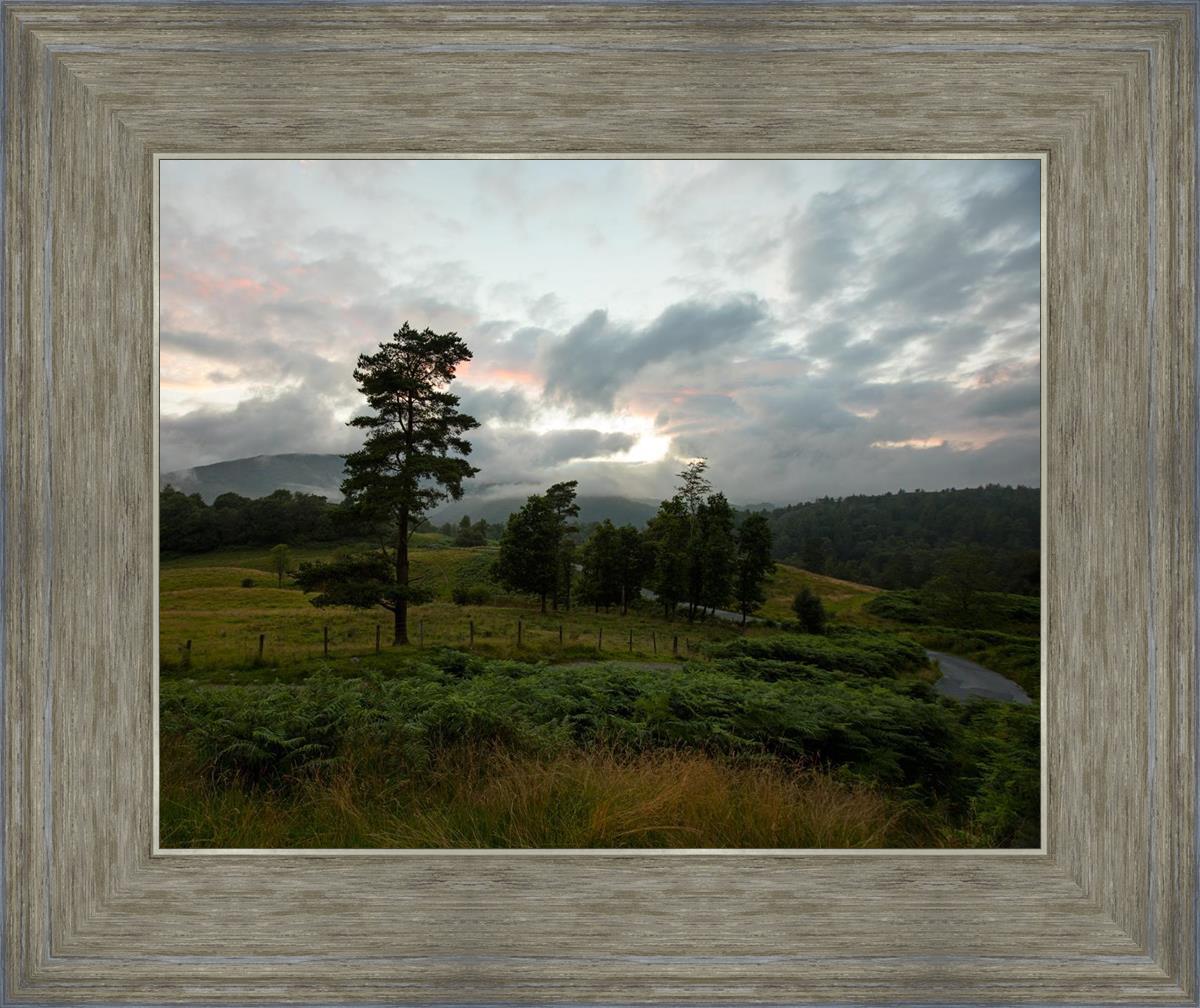 Plate 3 - Tarn Hows Above Ambleside