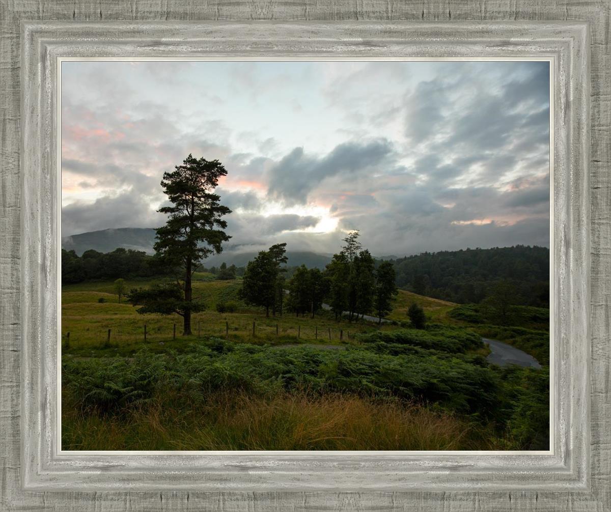 Plate 3 - Tarn Hows Above Ambleside