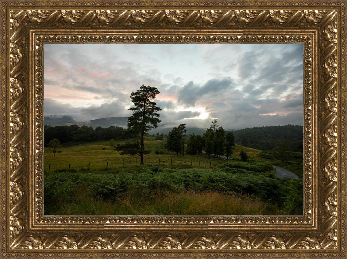 Plate 3 - Tarn Hows Above Ambleside