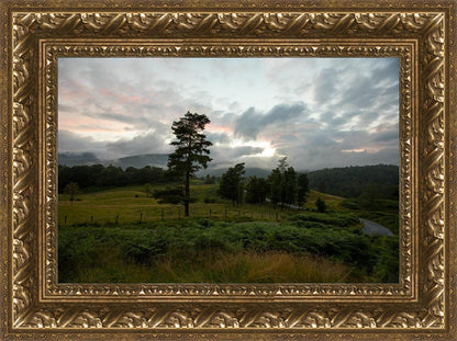 Plate 3 - Tarn Hows Above Ambleside