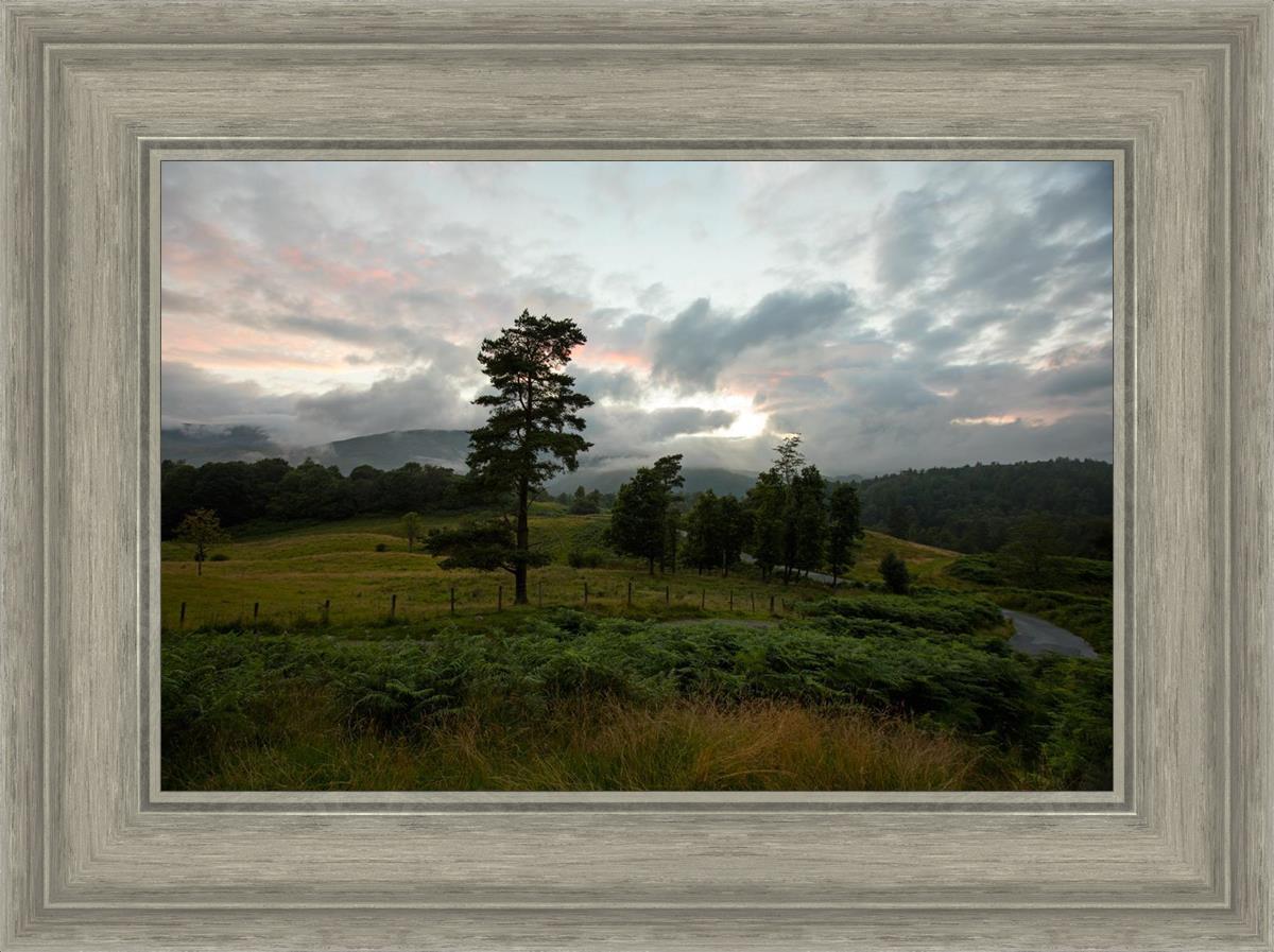 Plate 3 - Tarn Hows Above Ambleside