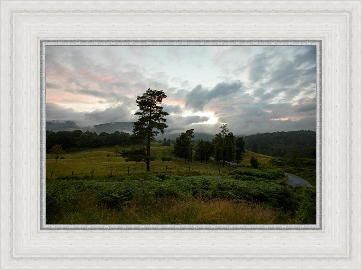 Plate 3 - Tarn Hows Above Ambleside
