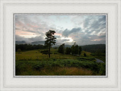 Plate 3 - Tarn Hows Above Ambleside