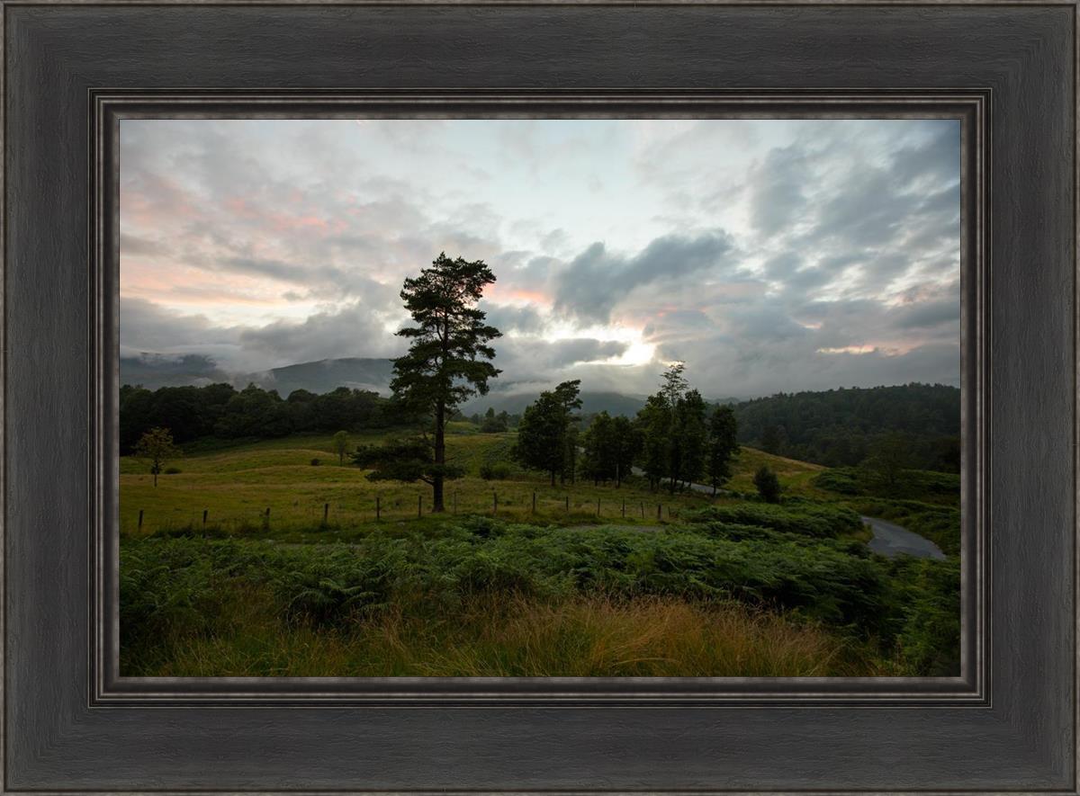 Plate 3 - Tarn Hows Above Ambleside