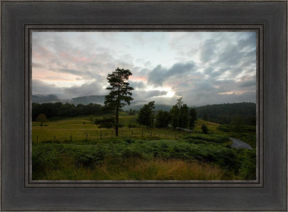 Plate 3 - Tarn Hows Above Ambleside