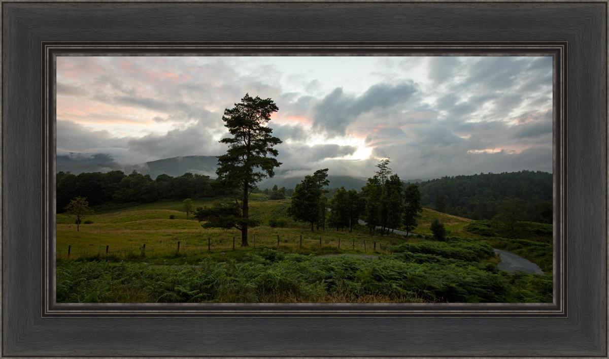 Plate 3 - Tarn Hows Above Ambleside