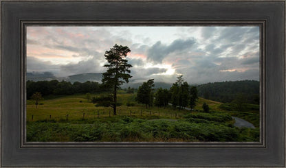 Plate 3 - Tarn Hows Above Ambleside
