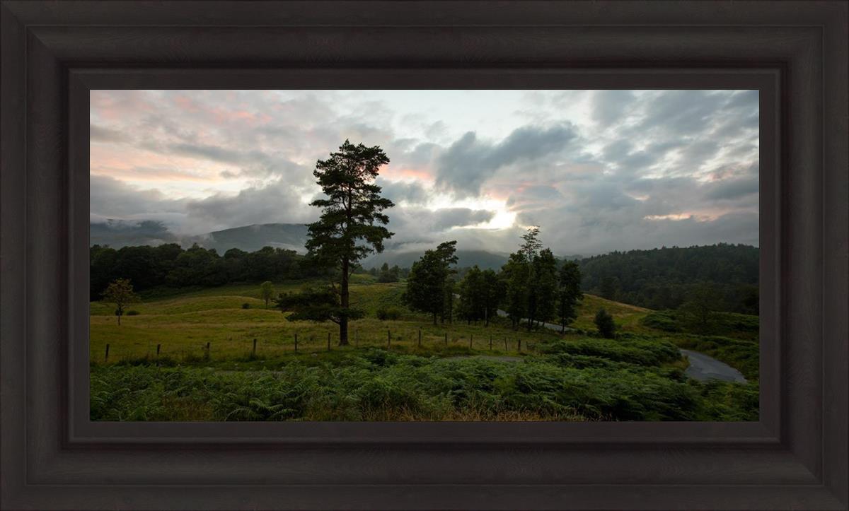 Plate 3 - Tarn Hows Above Ambleside