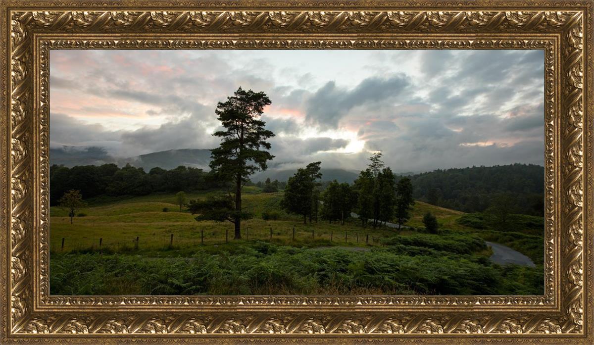 Plate 3 - Tarn Hows Above Ambleside