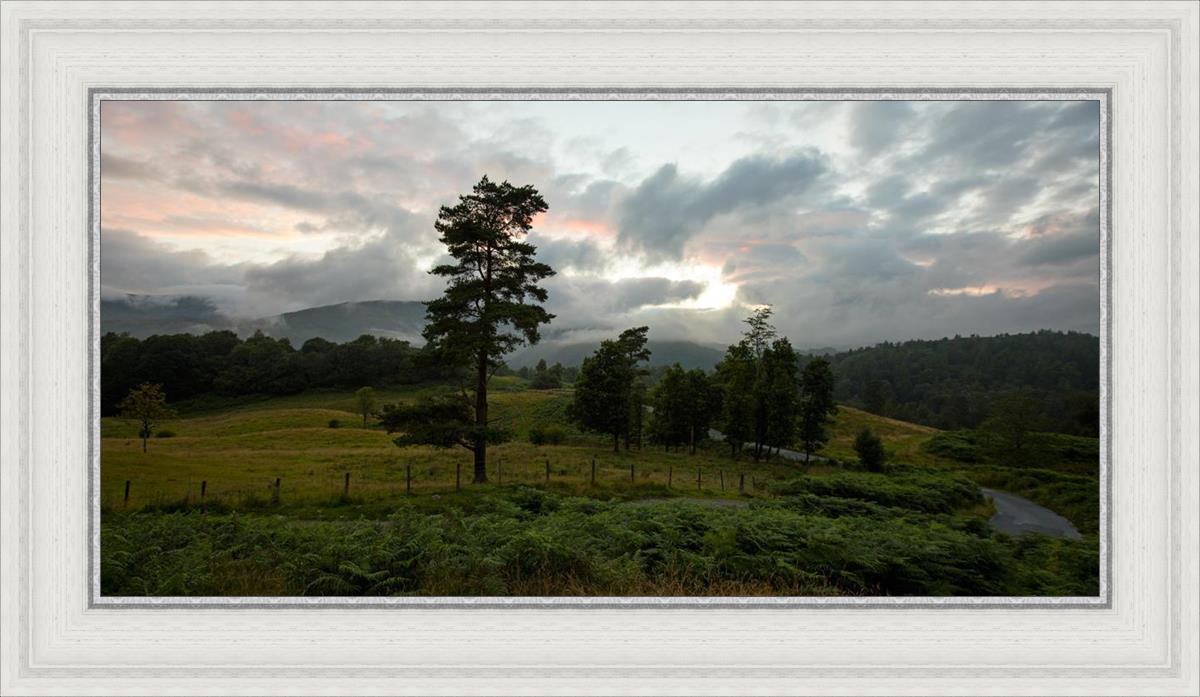 Plate 3 - Tarn Hows Above Ambleside