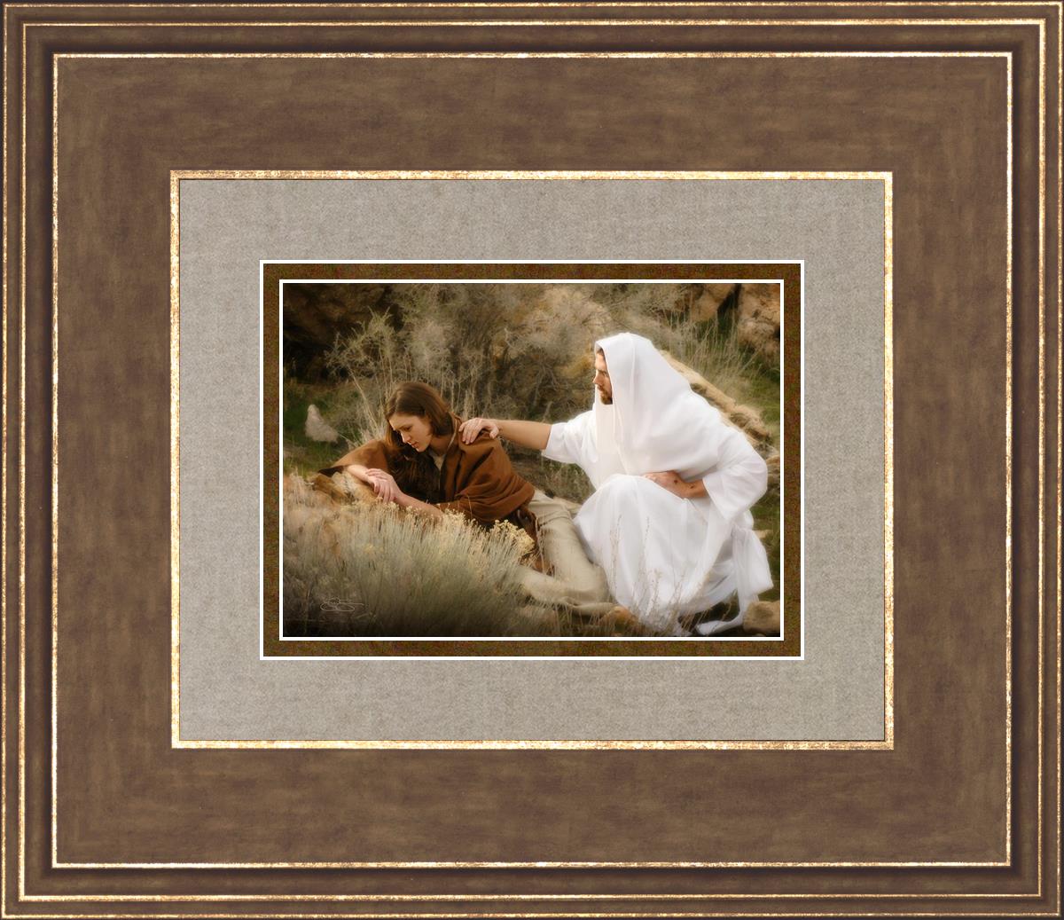 The Comforter