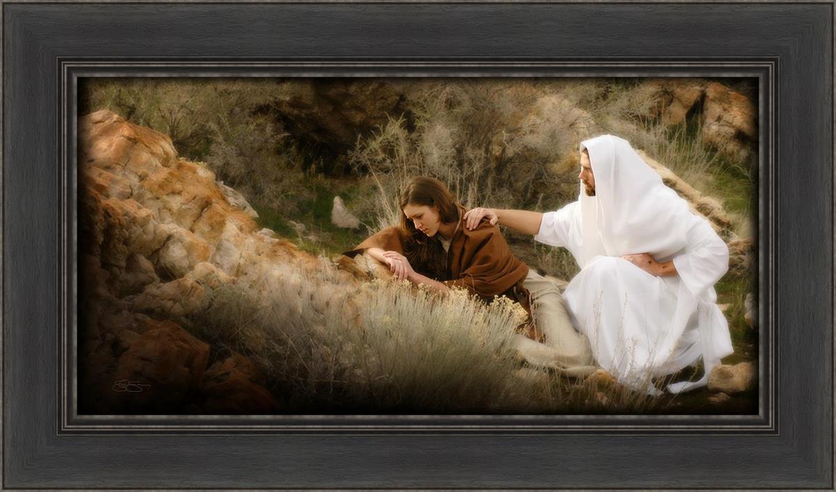 The Comforter