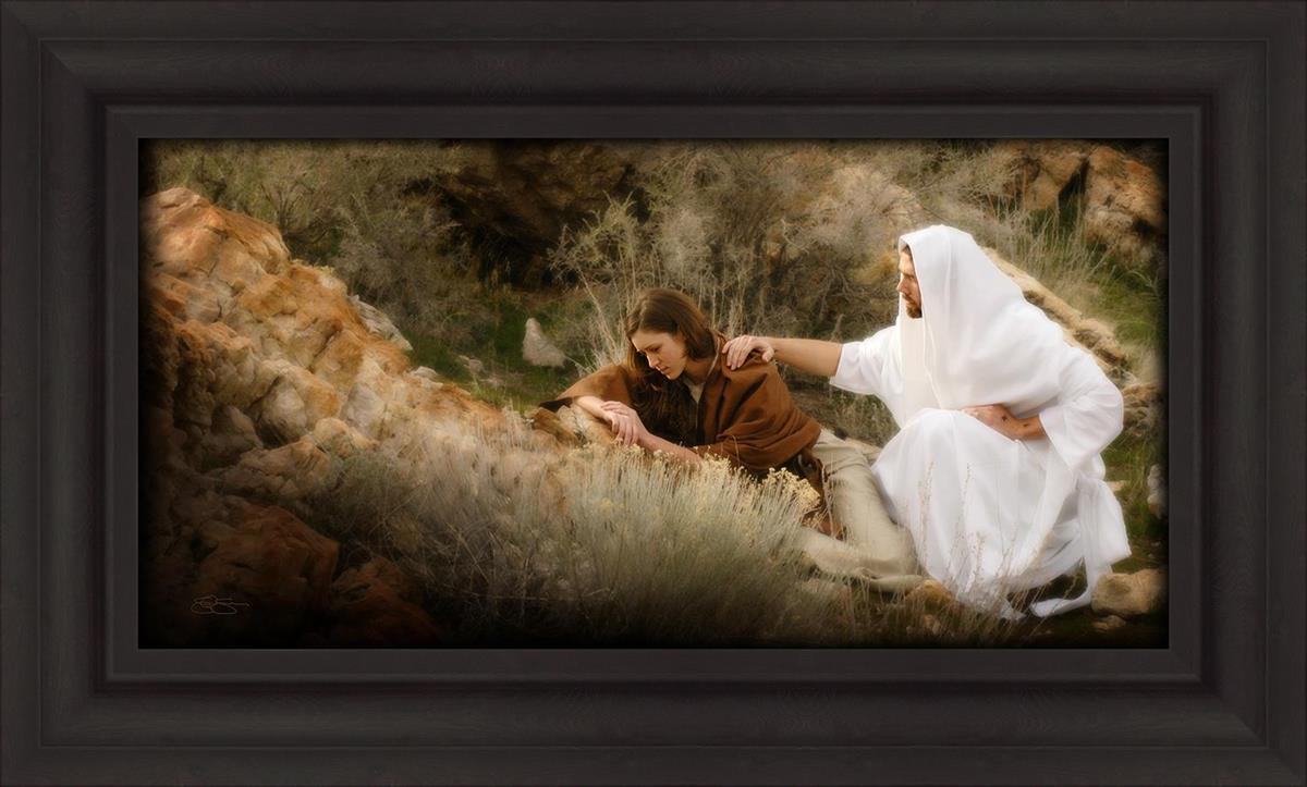 The Comforter
