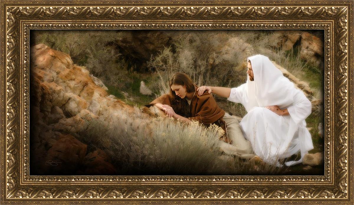 The Comforter