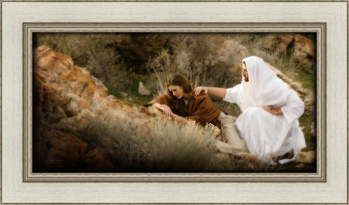 The Comforter