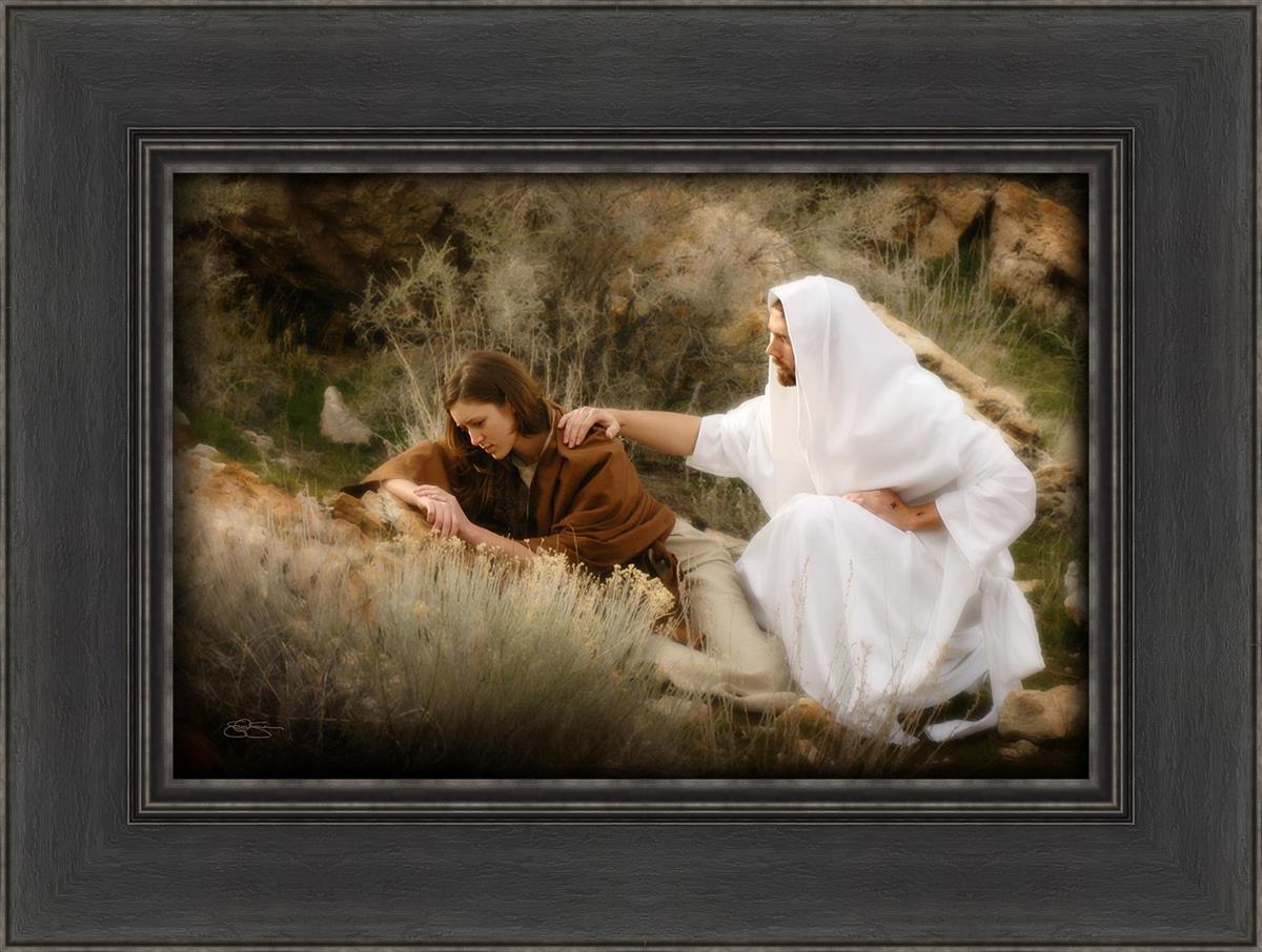 The Comforter