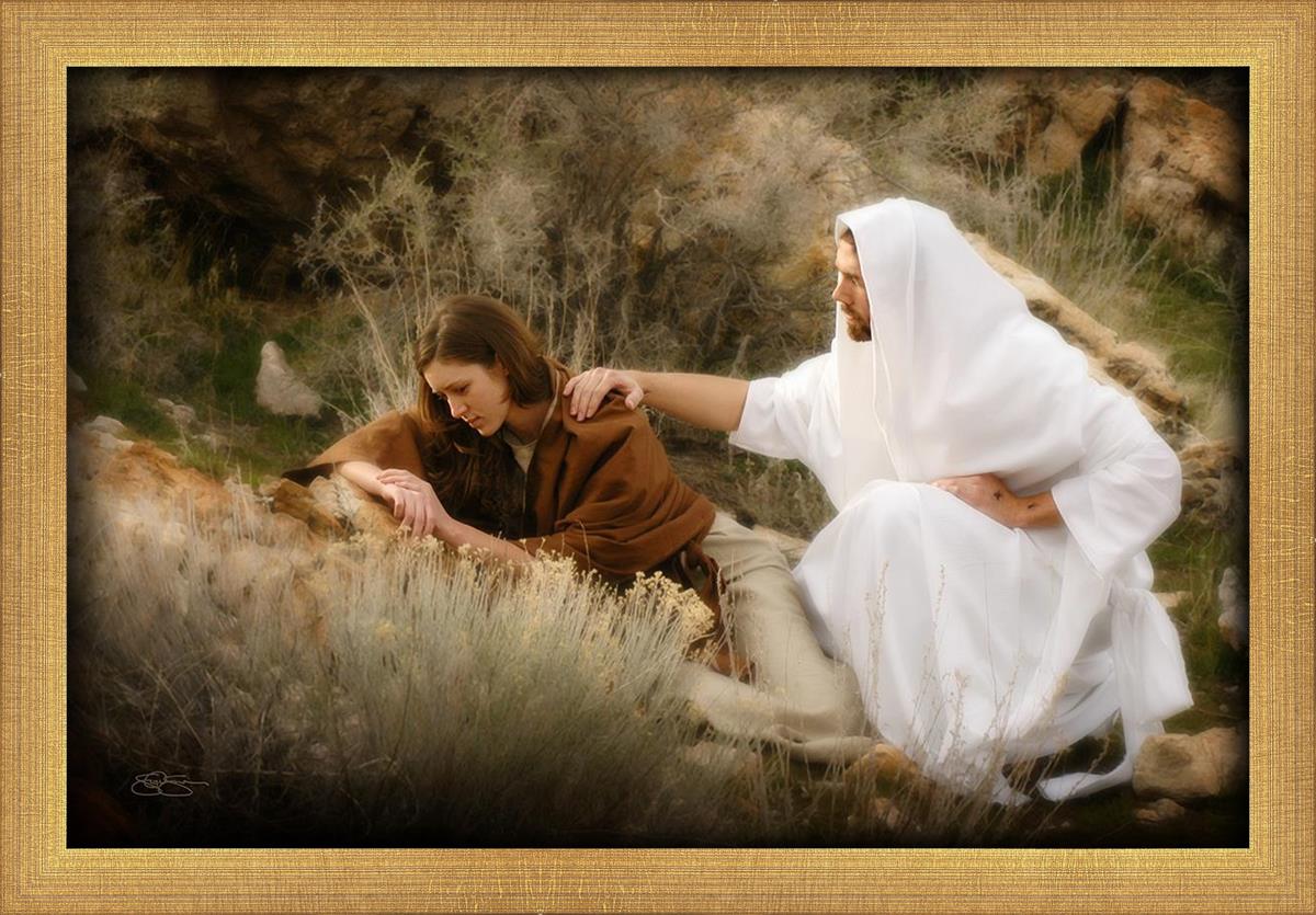 The Comforter