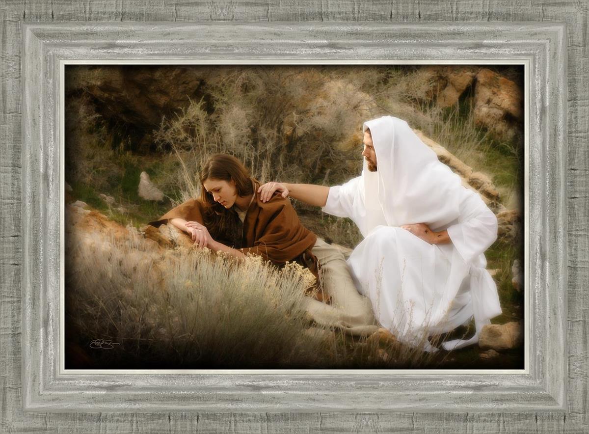 The Comforter