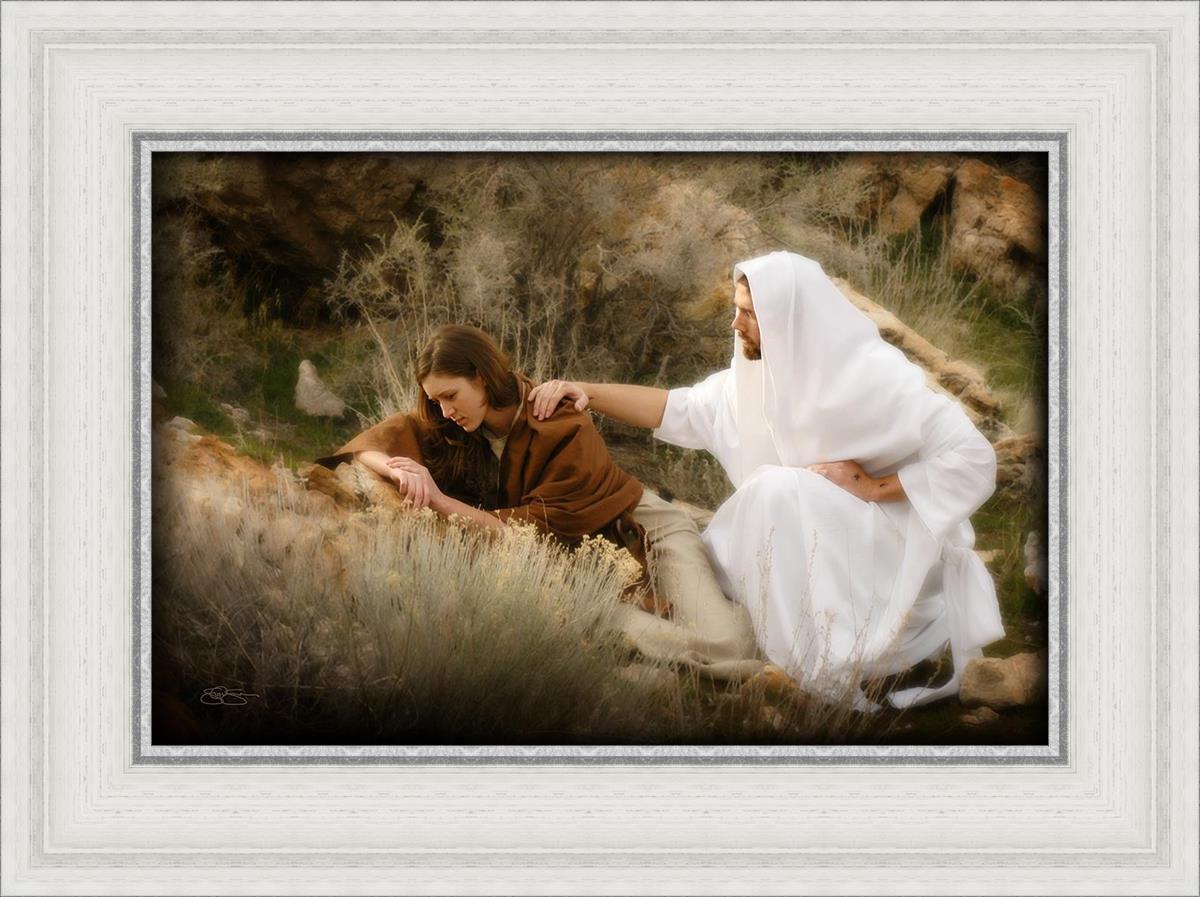 The Comforter