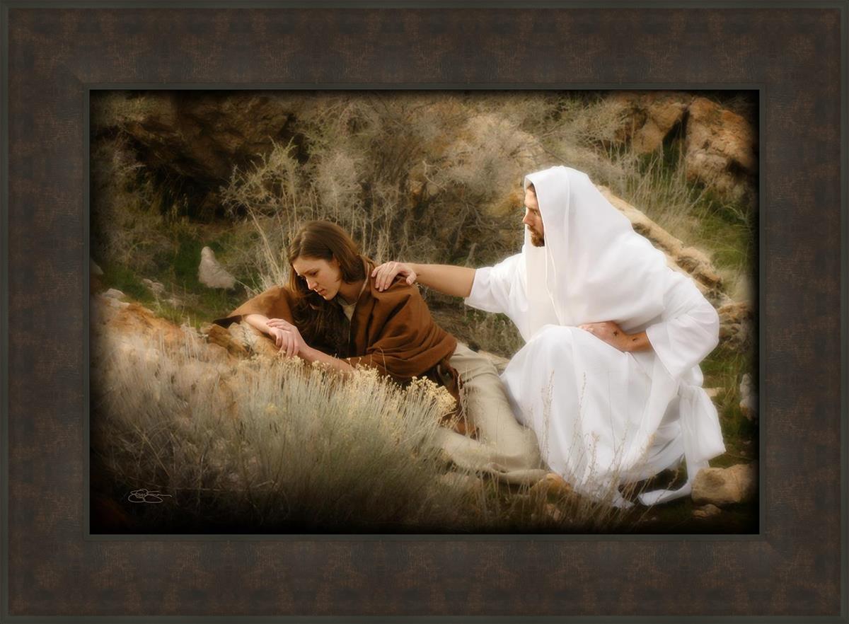 The Comforter