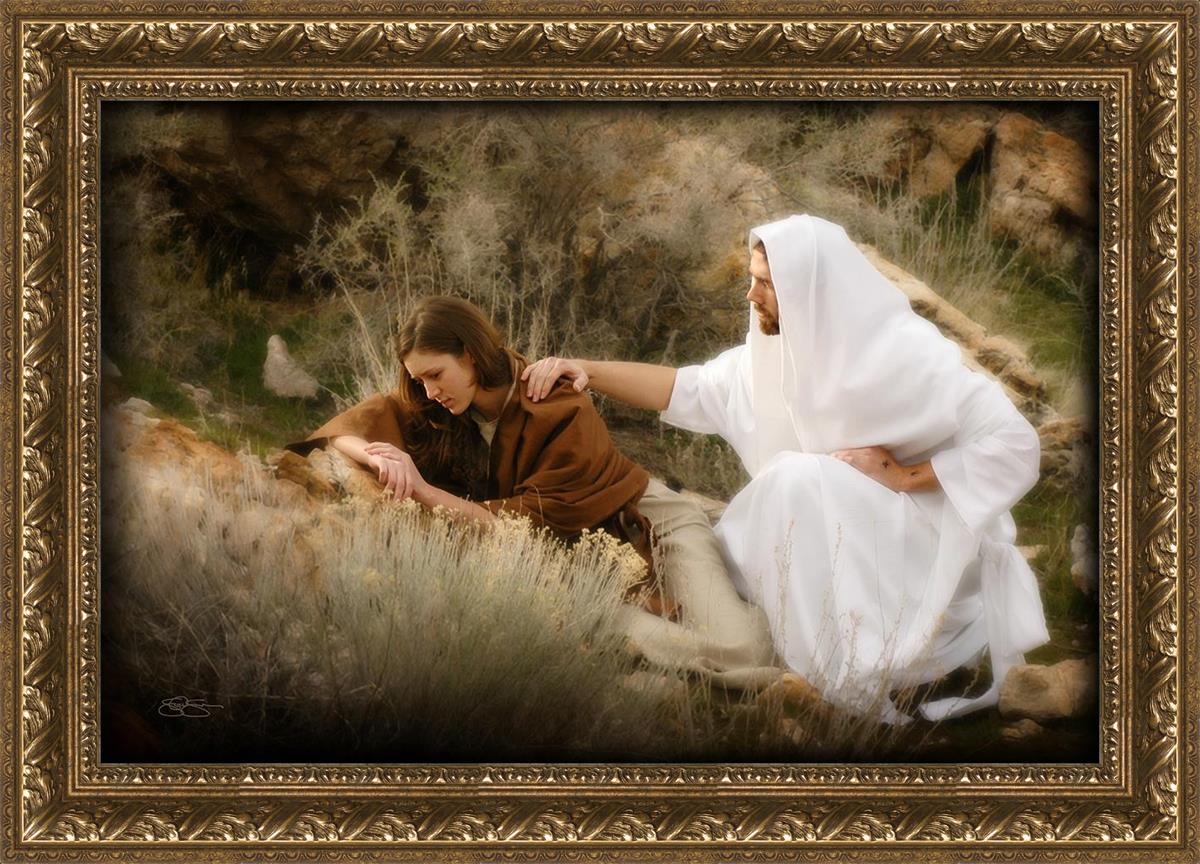 The Comforter