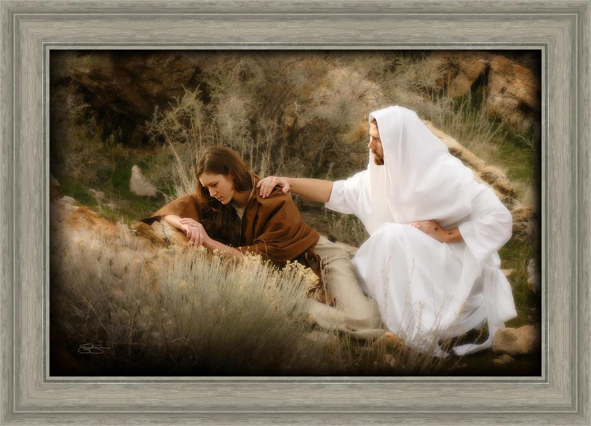 The Comforter