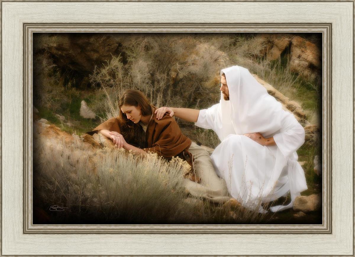 The Comforter
