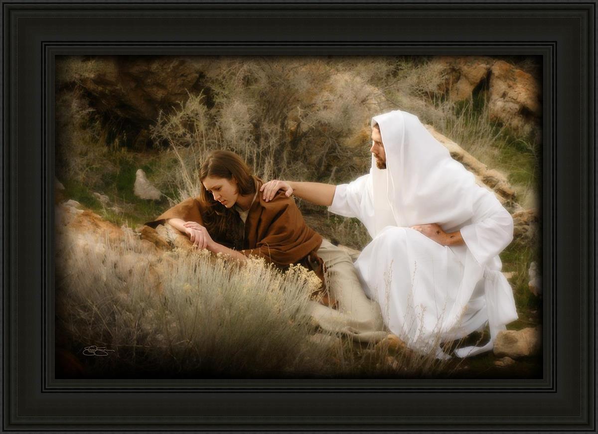 The Comforter
