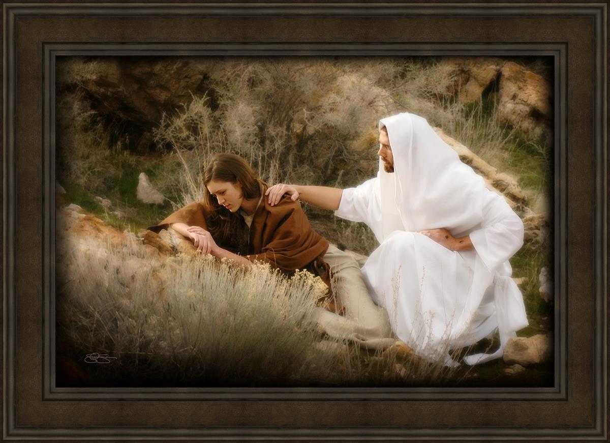 The Comforter