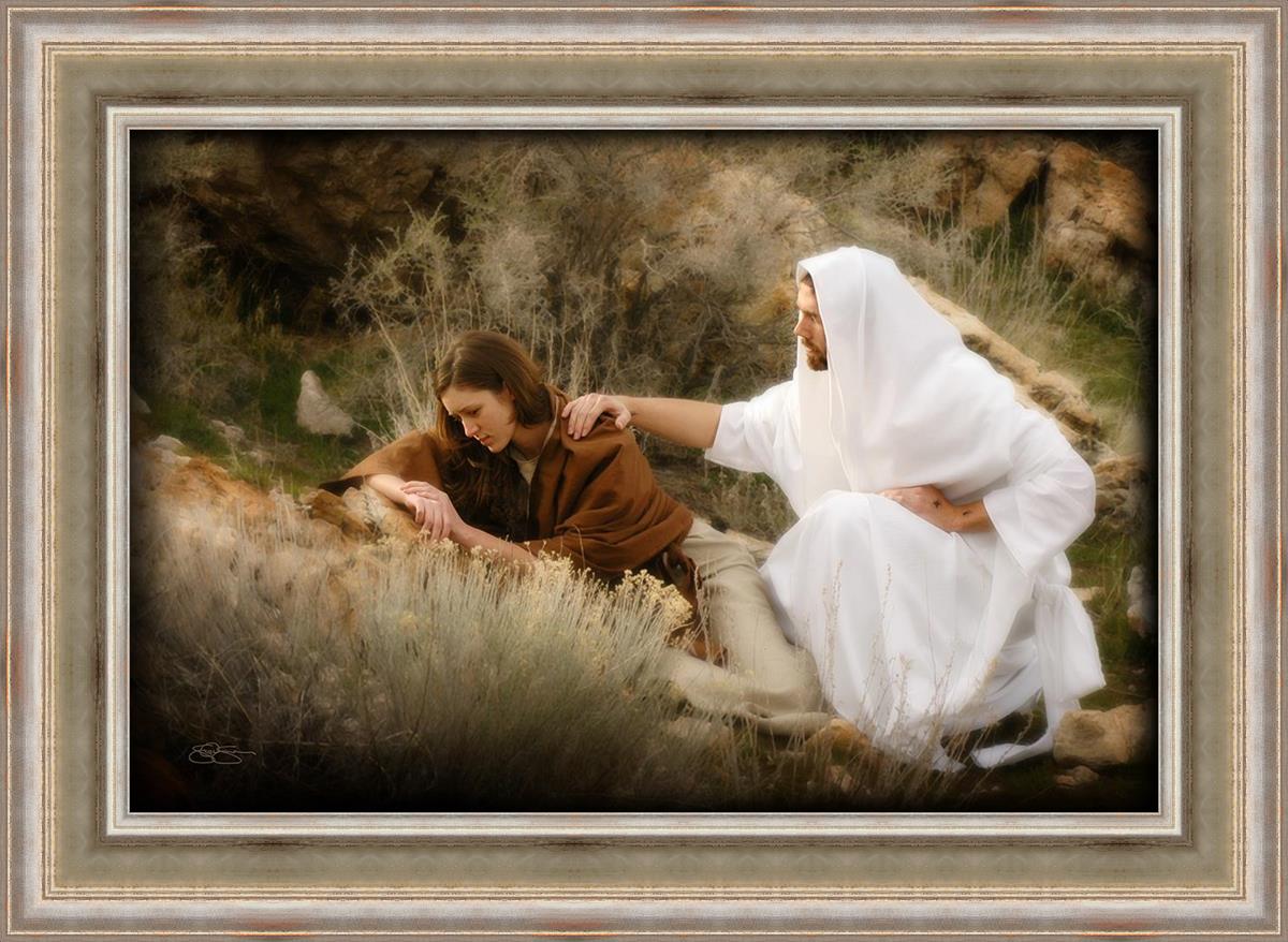 The Comforter
