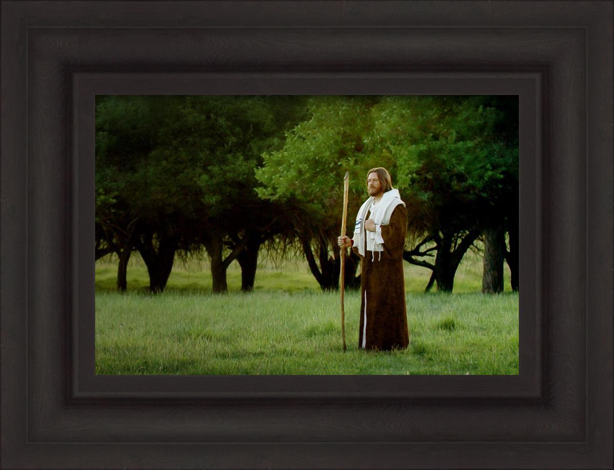 Lord Of The Vineyard