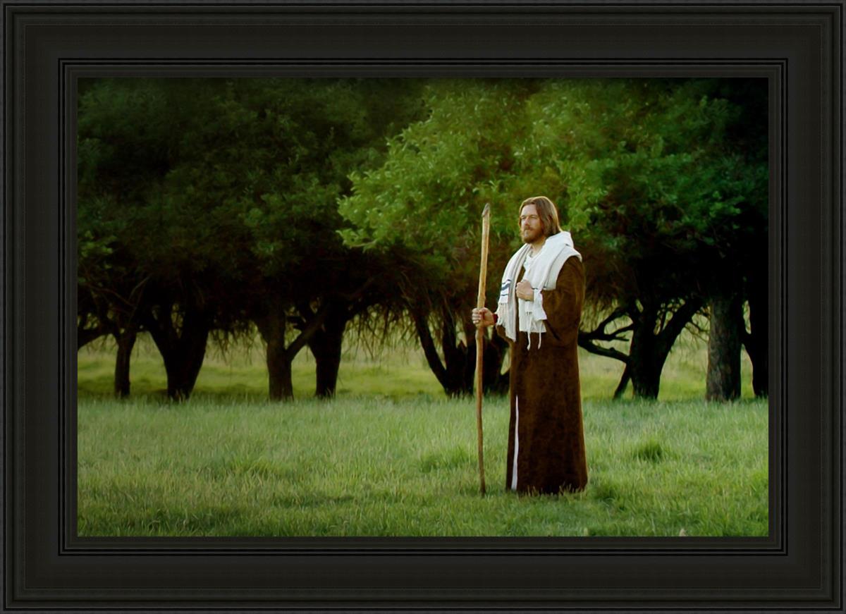 Lord Of The Vineyard