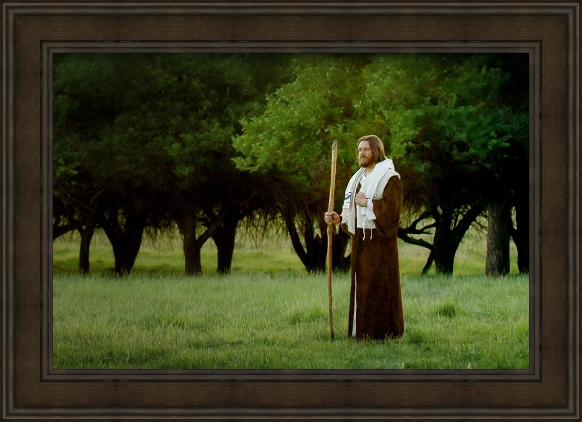 Lord Of The Vineyard
