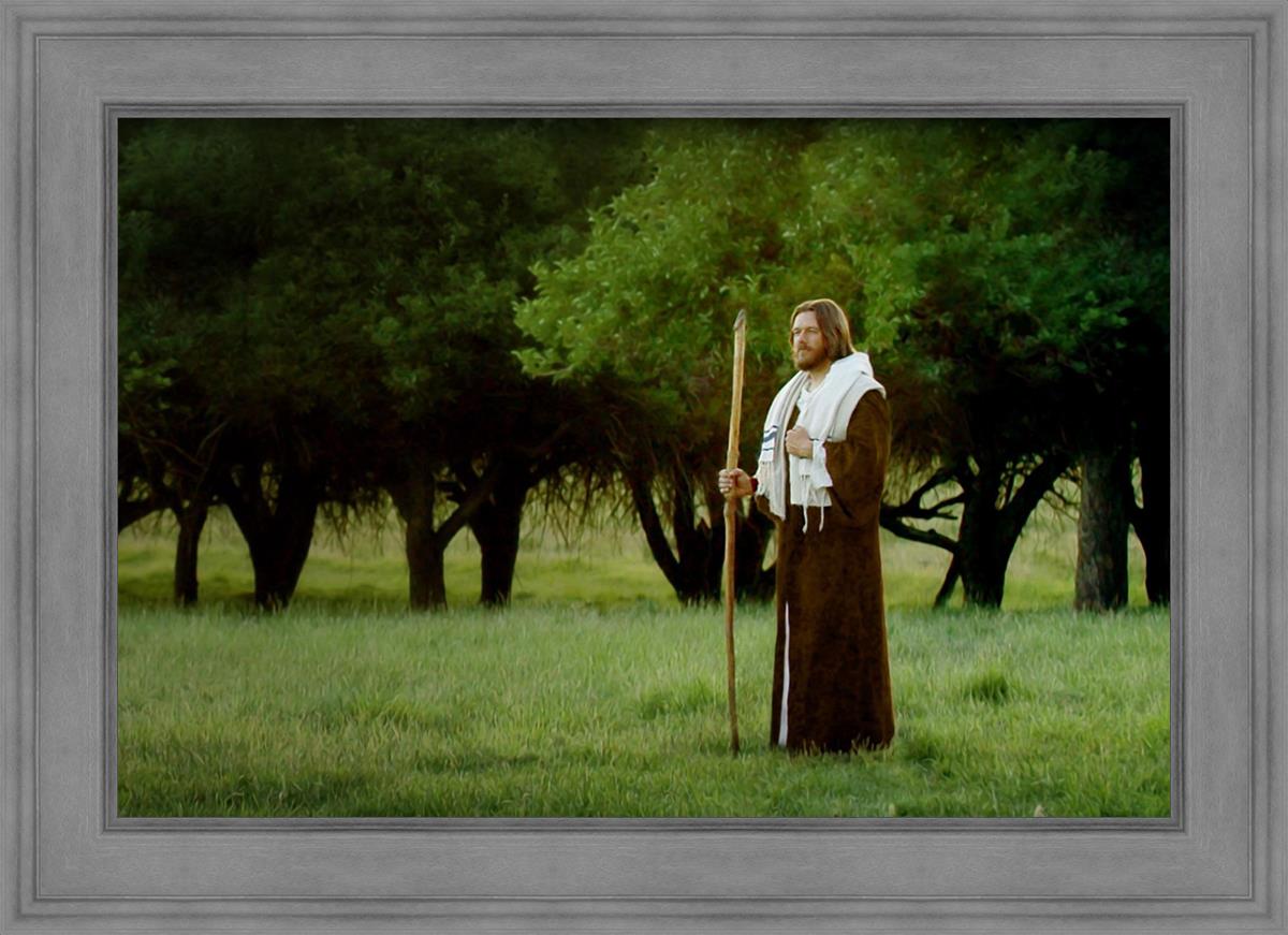 Lord Of The Vineyard