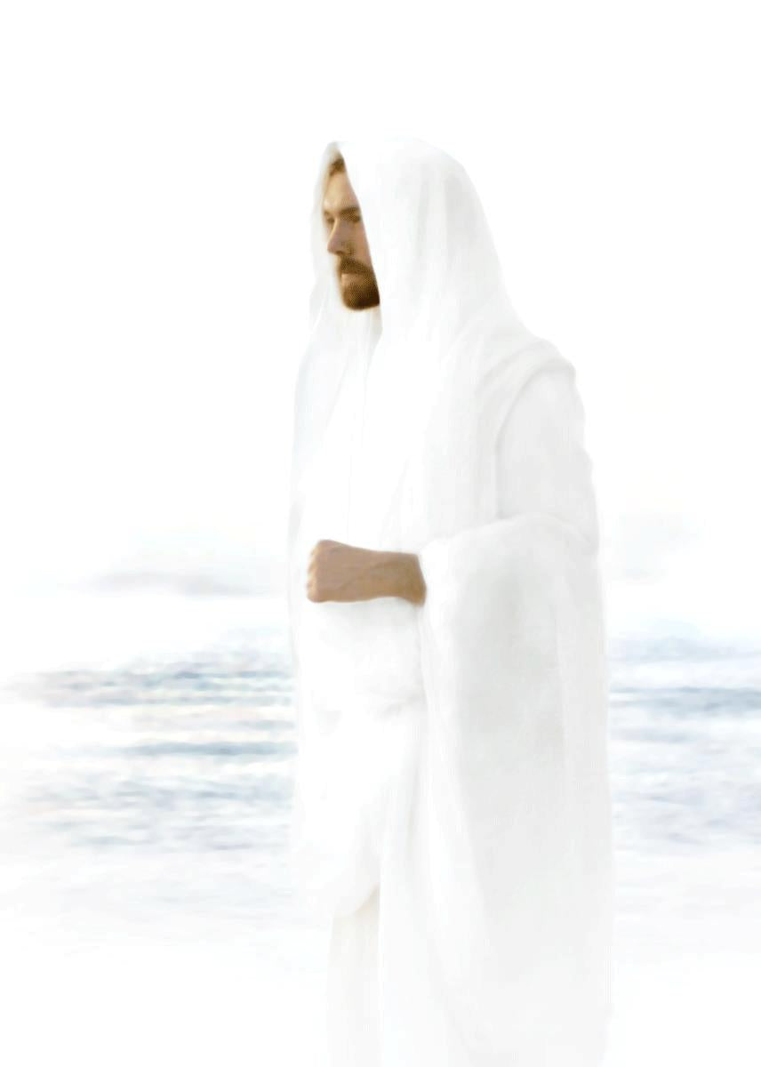 Peace in Christ