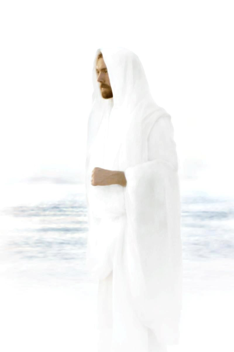 Peace in Christ