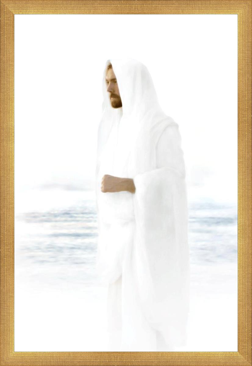 Peace in Christ