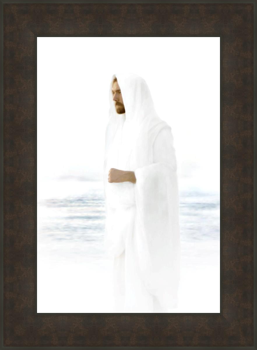 Peace in Christ
