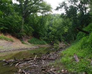 The Creek_Hauns Mill