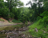 The Creek_Hauns Mill