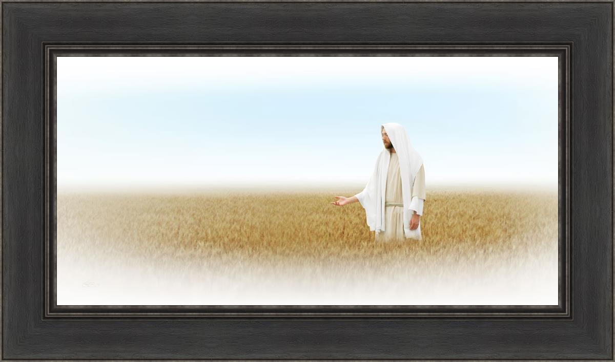 Lord of the Harvest