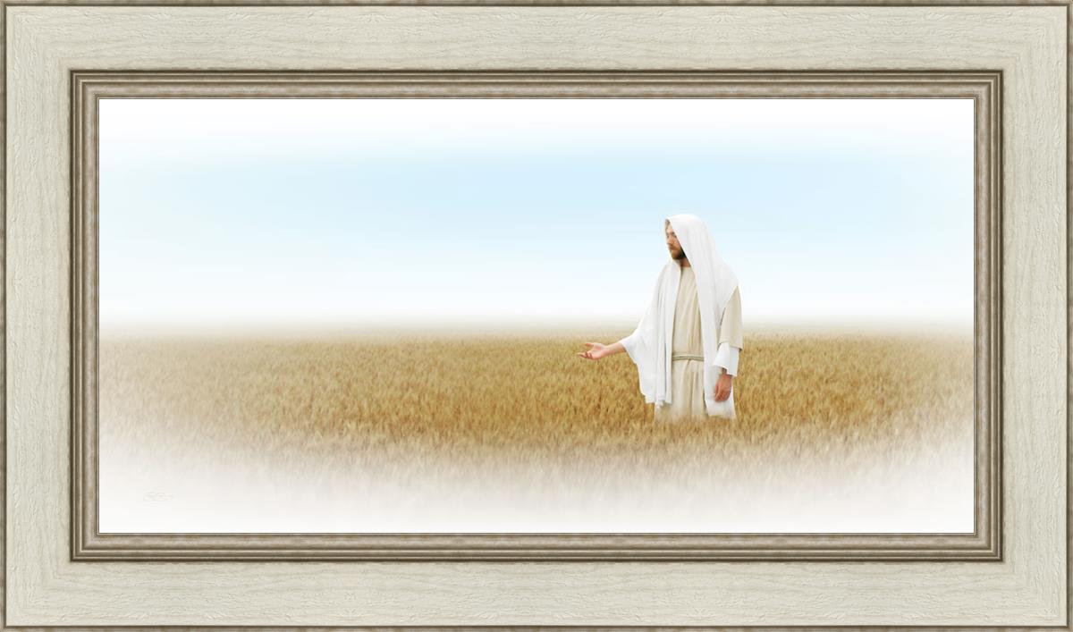 Lord of the Harvest